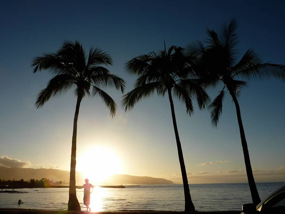 a person standing next to palm trees